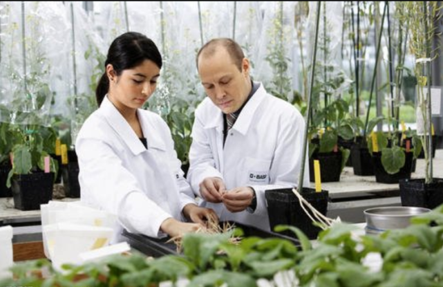 「发达国家」我国顶尖大学人才流失严重？看看外国优惠条件，你就知道为什么了