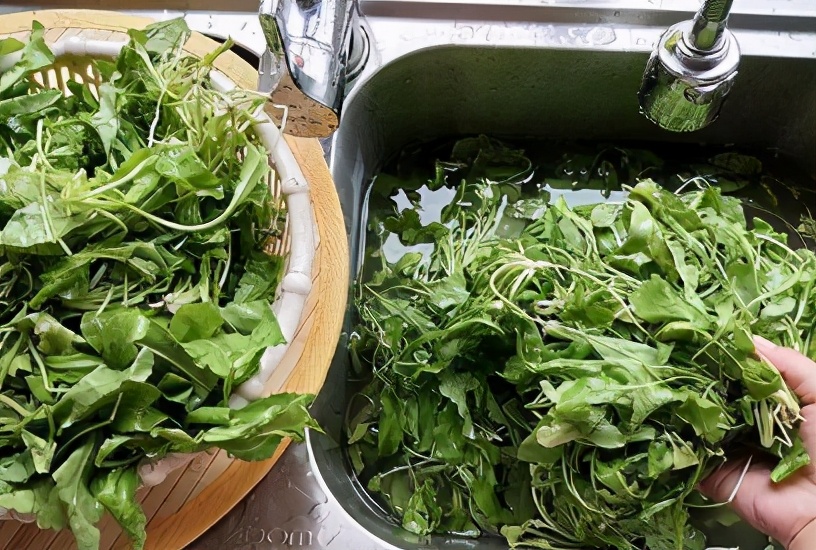荠菜|秋天第一鲜还有最后一茬，买回来焯水再储存，冬天包成饺子吃特鲜