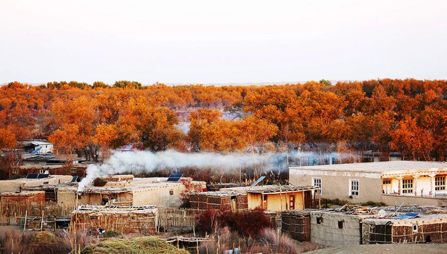塔克拉玛干沙漠|深藏于沙漠的中国村庄,号称“沙漠守望者”,这里的女性从不外嫁