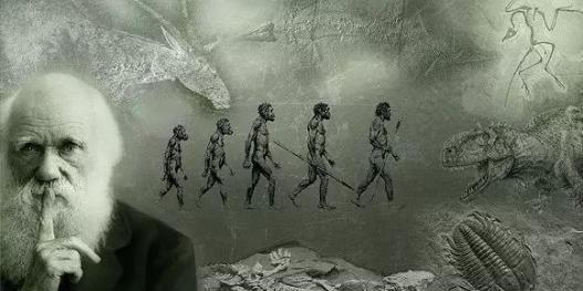 「科学家」科学家发现：所有人类都是20万年前一对夫妇的后代