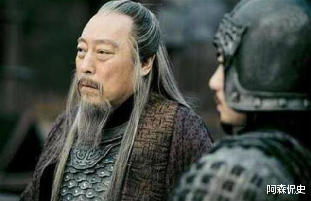 诸葛亮|空城计可疑之处，不是诸葛亮，是身后两童子？难怪司马懿看后撤兵