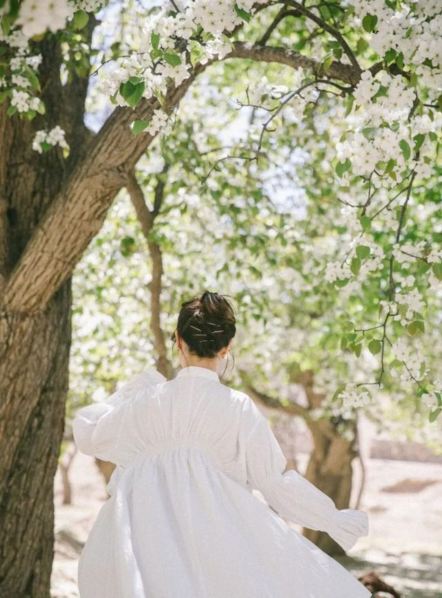 青海|这才是8月最值得去的13个地方，正适合三五好友说走就走