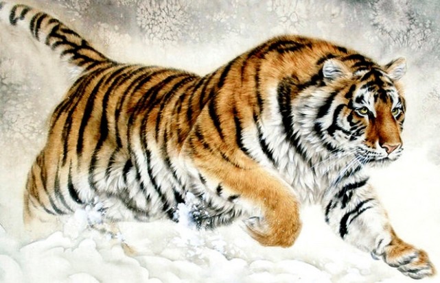 运势|未来几个月运势上佳，吉星照耀，生意兴隆，财库满满的3个生肖