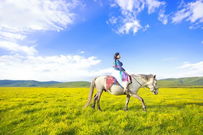 66号公路▲中国的66号公路！这条藏在川西的草原天路，每一帧都是流动的大片|思鹿旅行推荐