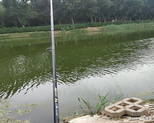 黑鱼|新手学路亚从哪里入手？老钓友带你了解这些路亚的目标鱼！