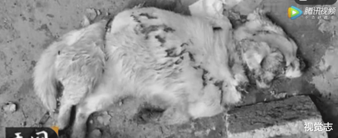 『低保』新婚夫妻凭空消失：嫉妒心重的人太可怕……