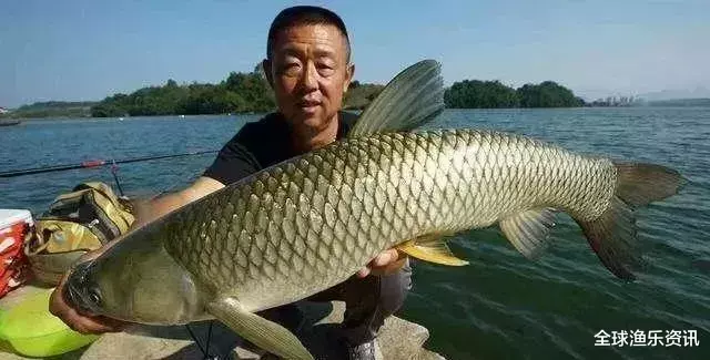 玉米：它才是真正的“好饵”，老钓手泄露四大用法，鲫鲤草青大小通杀