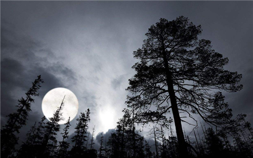 【颠覆】世界三大未解之谜，两件在中国，最后一个若破解将颠覆人类文明