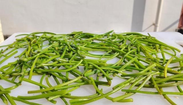 红薯|立冬前后，这菜还有最后一茬，遇到捡1麻袋，天冷炖肉比萝卜香
