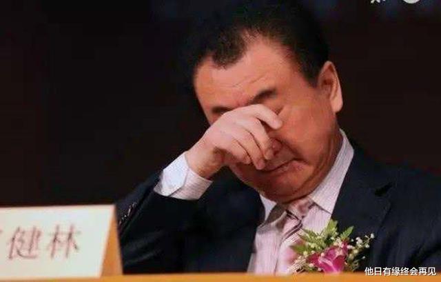 王健林@王健林：2017年是我最惨的一年，可没想到2020年我更惨