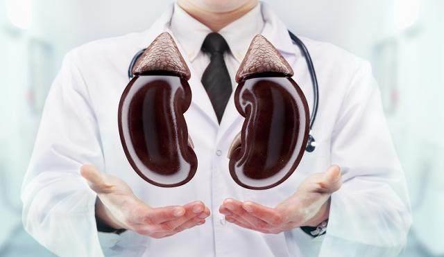 「尿毒症」为何“尿毒症”越来越多？4物若管不住嘴，肾脏迟早会“罢工”