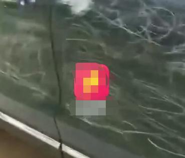 【熊孩子】致2岁女童坠亡、大学生毁容、划伤45台豪车，家长：他只是个孩子