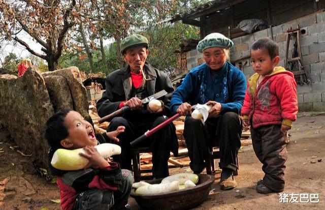 蚊子|明日白露，俗语“喝了白露水，蚊子闭上嘴”，白露水“恶过鬼”？