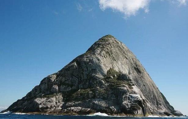 海岛：恐怖岛屿：面积43万平米却有几十万条蛇，最贵一条卖上万