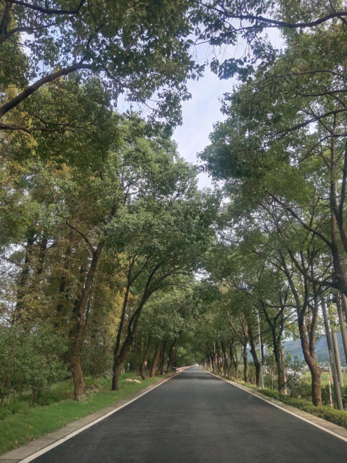 |秋雨绵绵，出钓山间水库，山美水美鱼更美