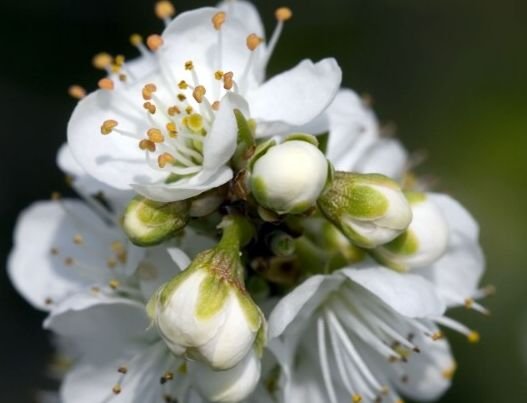 无忧无虑|从9月开始，4属相旺财旺福旺运，财源滚滚，日子无忧无虑