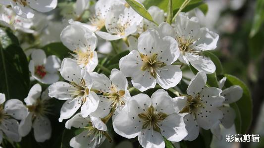 运势|近期内与前任再度牵手，复合概率大大增加，重燃旧情的三个星座