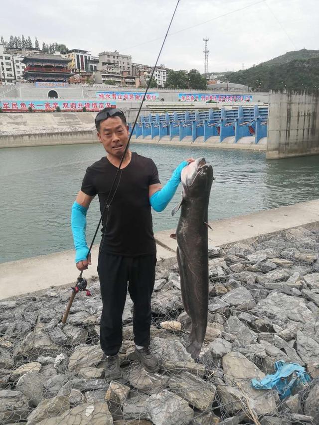 「鲫鱼」汉江巨物横行，你们偏偏不信，这是朋友刚刚钓获的