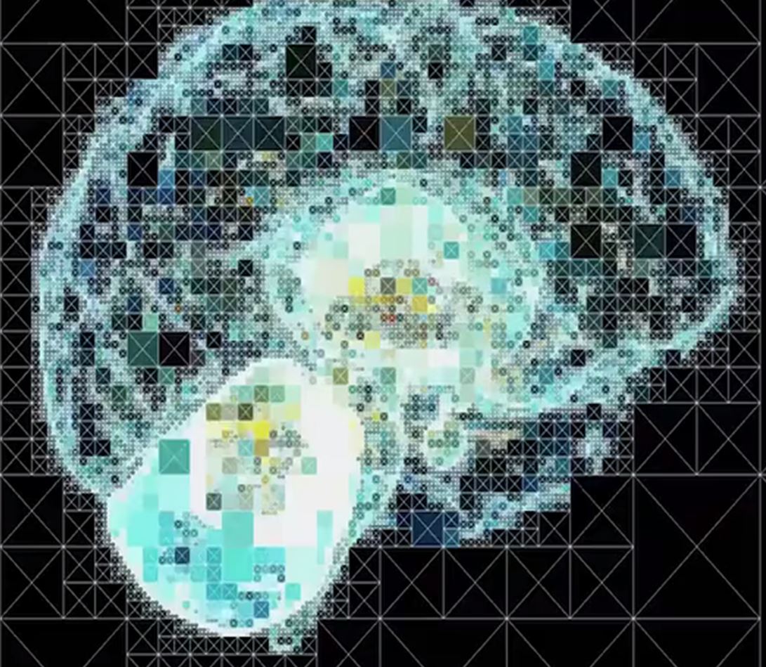 「科学家」第六感真的存在吗？人脑可以感应磁场，未来或许成为超能力