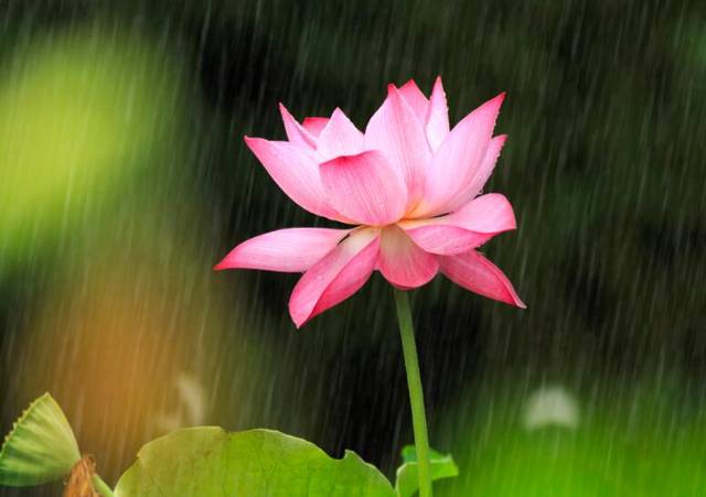 「运势」熬完5.1，3大属相隔三差五走好运，事业不断晋升，财门打开