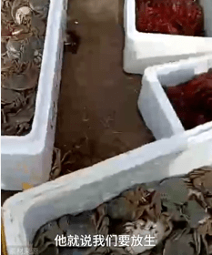 话晴空|为了活到99，大爷大妈们竟然“放生牛奶，矿泉水”