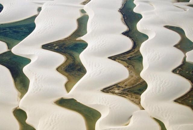 ：世界上“最不正经”的沙漠，降水是撒哈拉300倍，还出现很多鱼虾