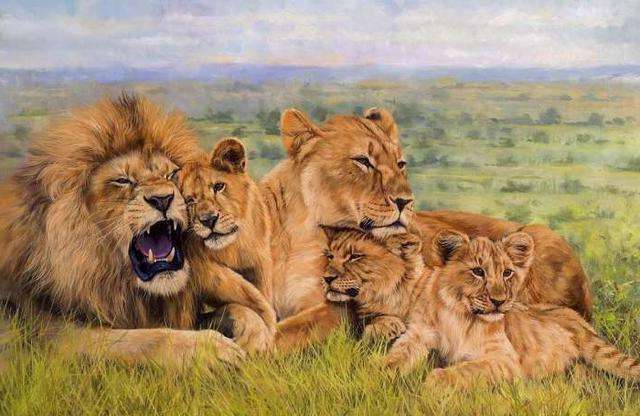 黑猩猩■所谓的“母系社会阶段”其实并不存在