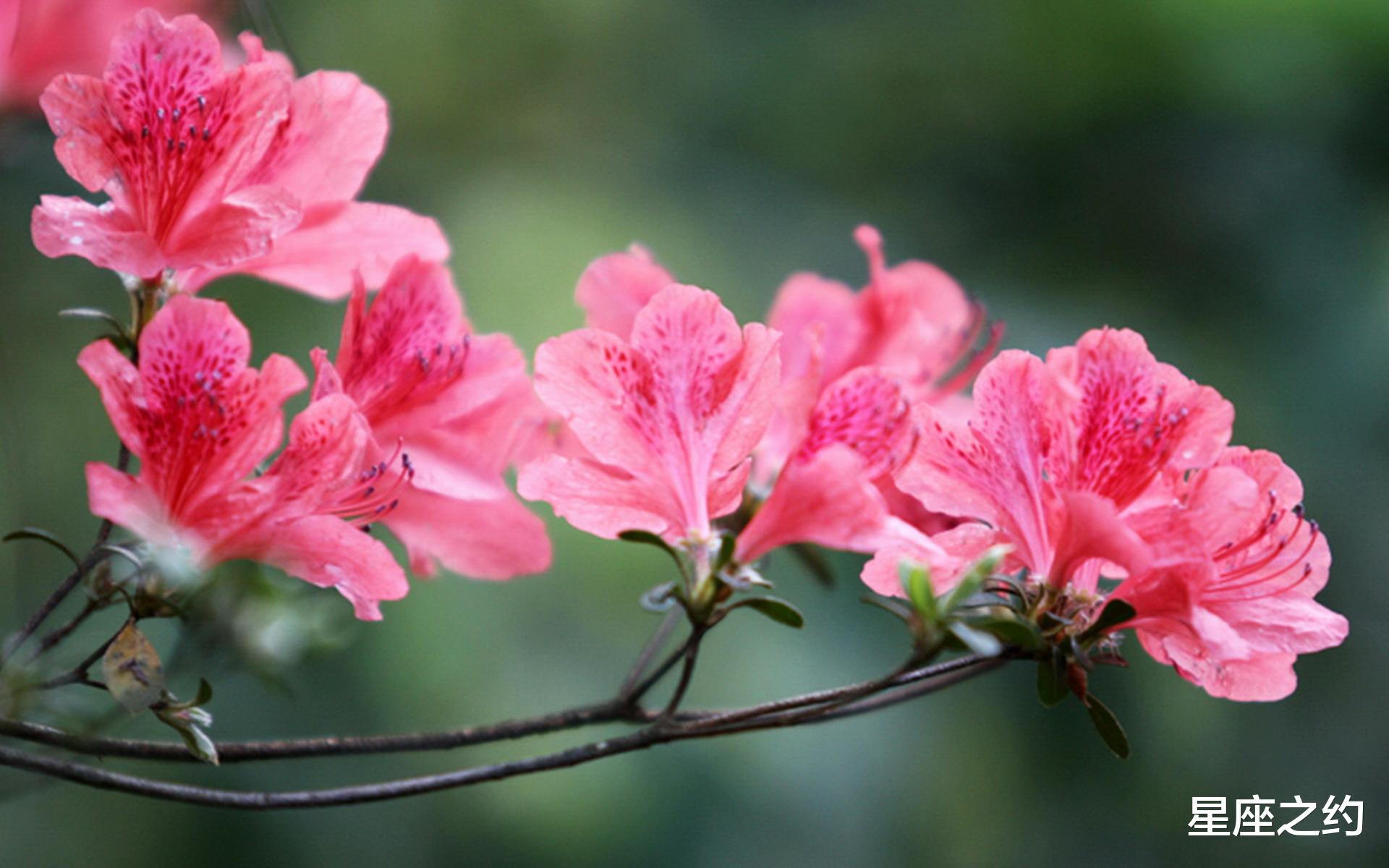 |11月21日星座运势：劳逸结合，心想事成的四大星座