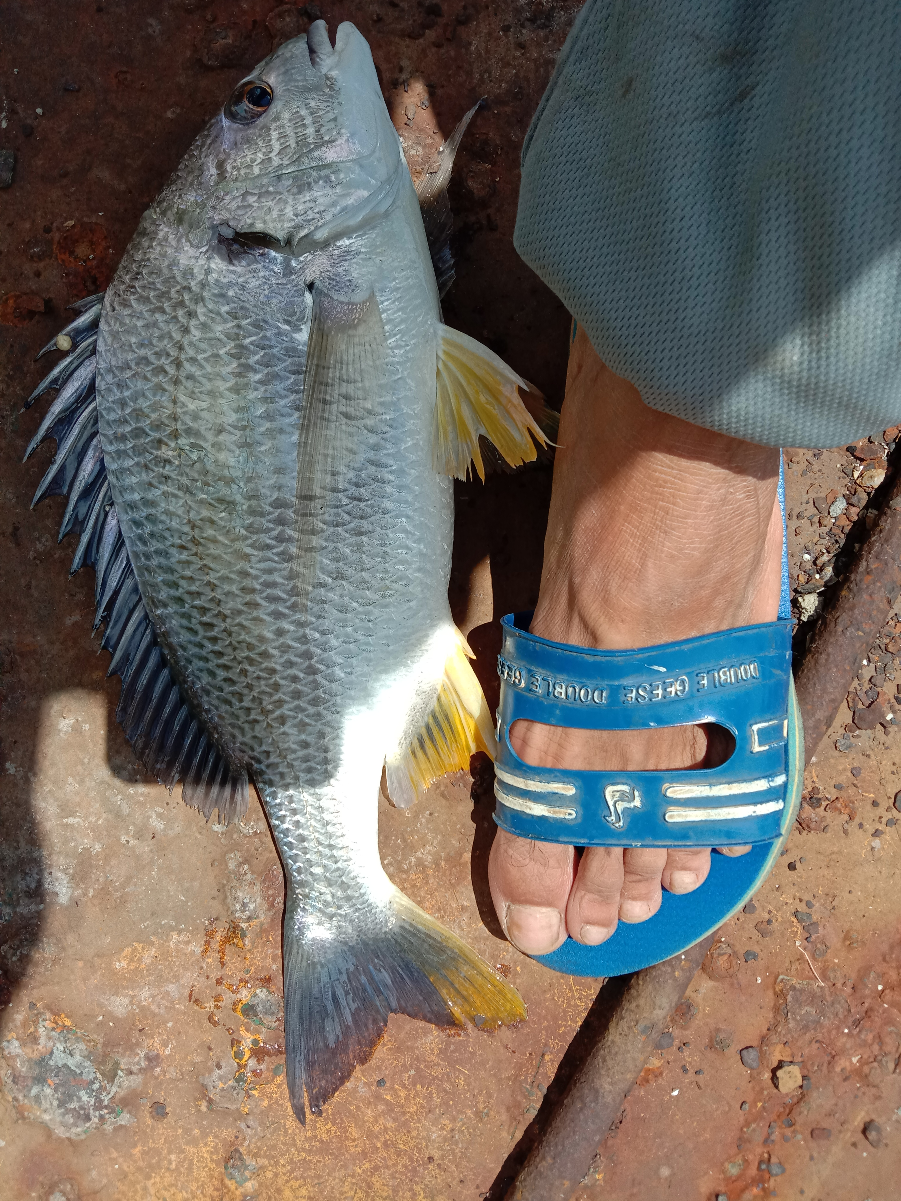 |小伙为请假去钓鱼，居然煞费苦心这样无耻的理由都说得出