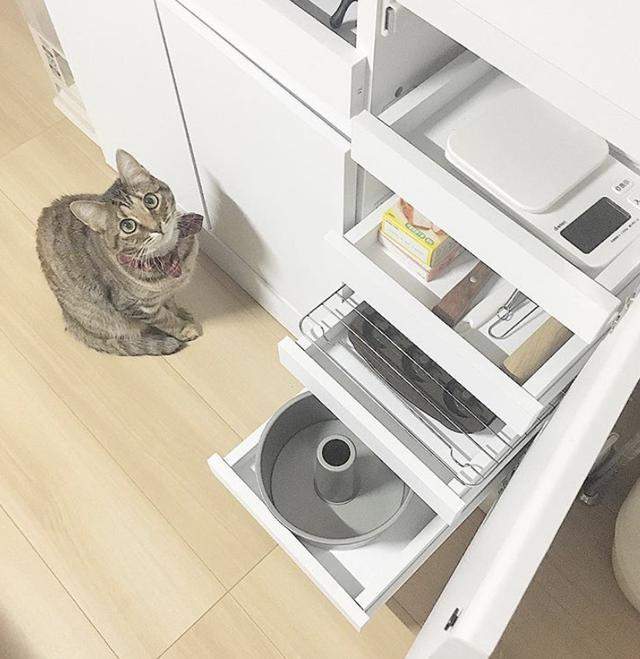 |自律生活有多爽？这对日本90后小夫妻家里，有太多可学习的地方