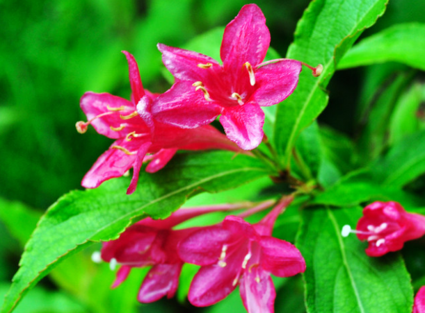 「运势」未来7天，4属相运势逐渐好转，一举富贵，门庭兴旺，富甲一方