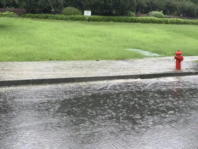 半岛晨报|9孔全开泄洪后，有居民区淹至二楼，树都淹到树冠部位了