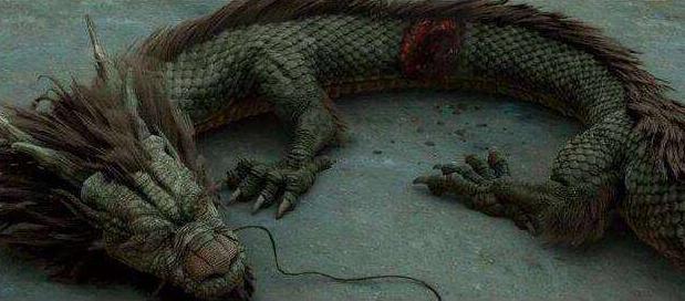 须鲸|1934年，轰动一时的营口坠龙事件，那只巨大的生物真的是它？