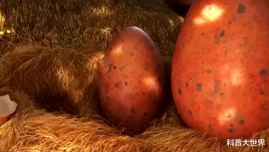 恐龙蛋@智利科学家在南极洲发现沧龙卵，重达13斤，比鸵鸟蛋大4倍多