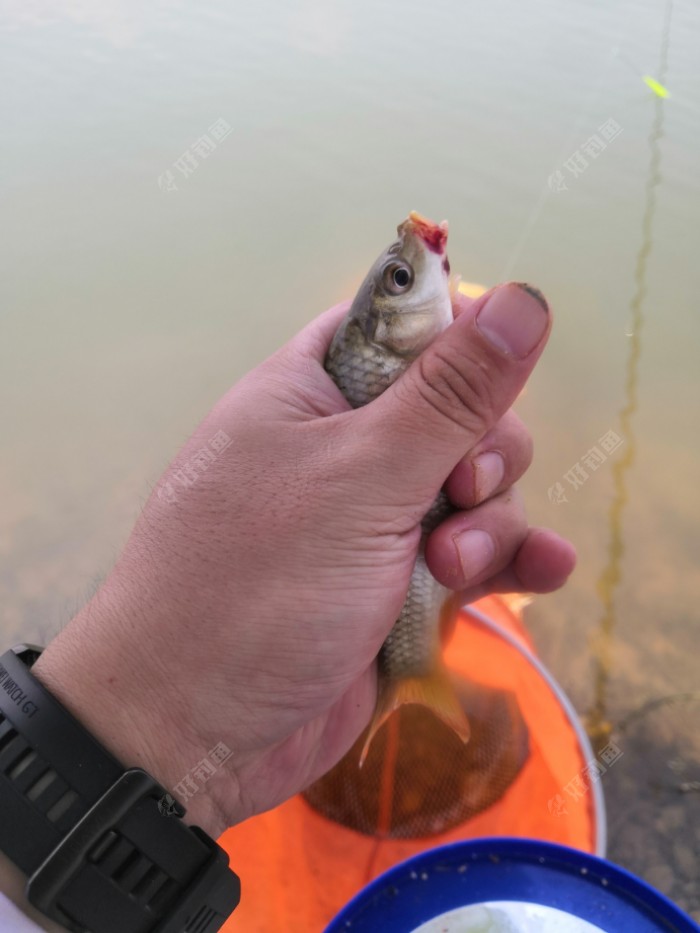 赣江|老家的风景 少时的玩