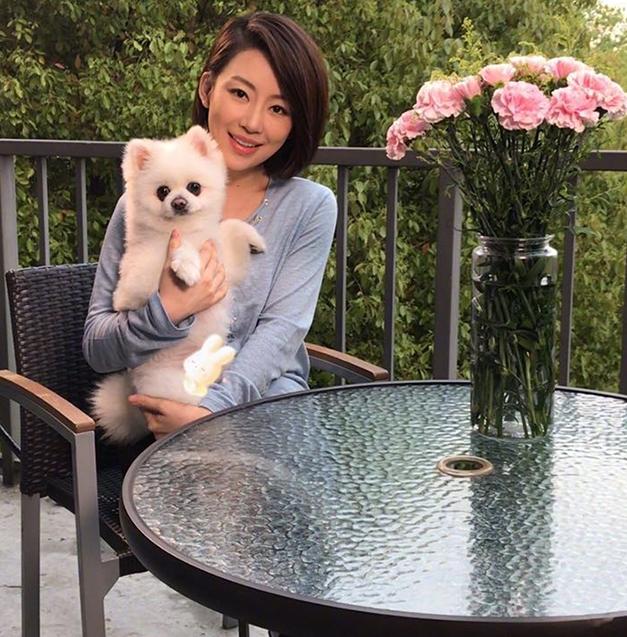 办公室|潘晓婷晒出自己的豪宅，书房装修像总裁办公室，一看就是霸气类型