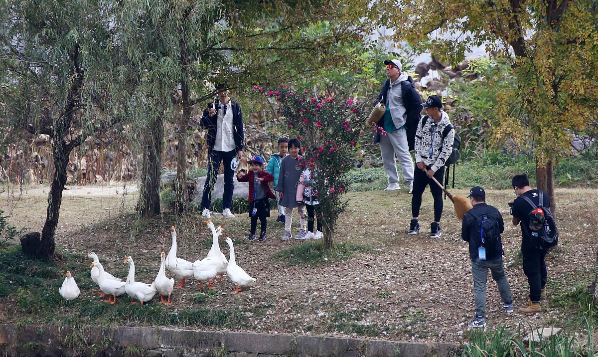 爸爸去哪儿|《爸爸去哪儿》七年后对比照：多多个高，苗条，石头高大挺拔