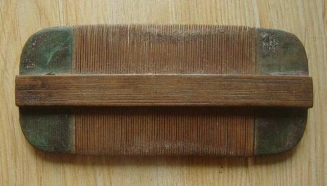 恐龙|上世纪七八十年代，人的身上为何有虱子？现在怎么消失不见了？