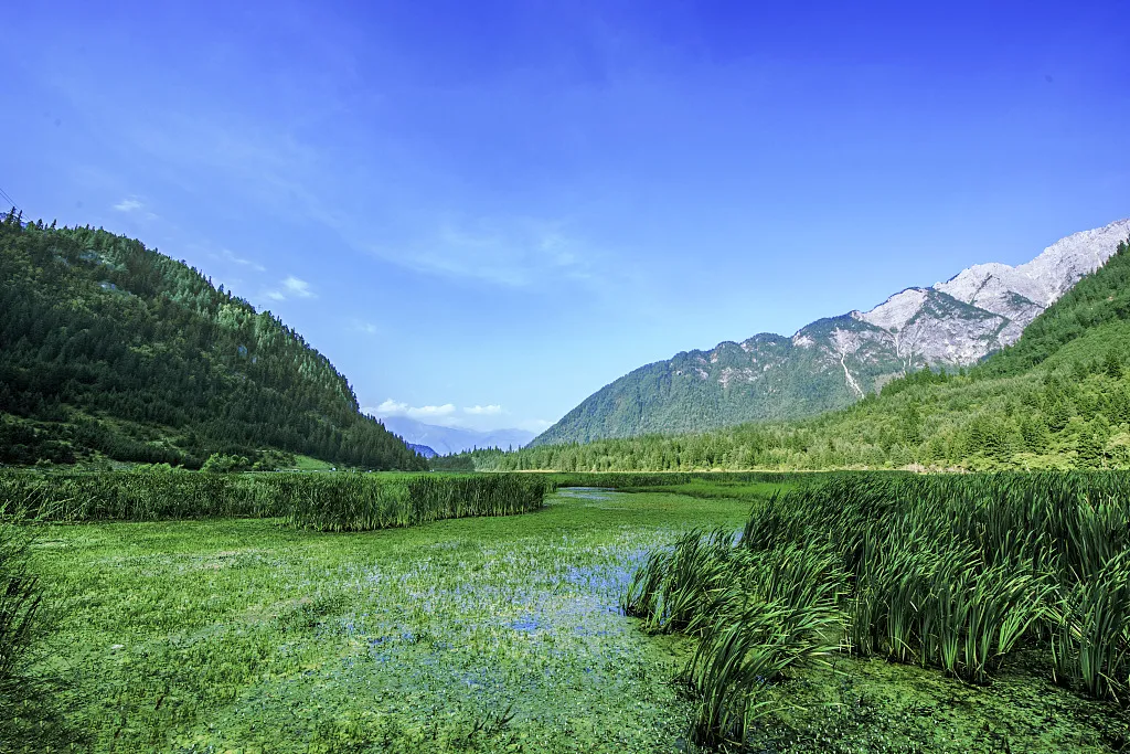 九寨沟:除了九寨沟,阿坝到底还藏了哪些绝世美景?