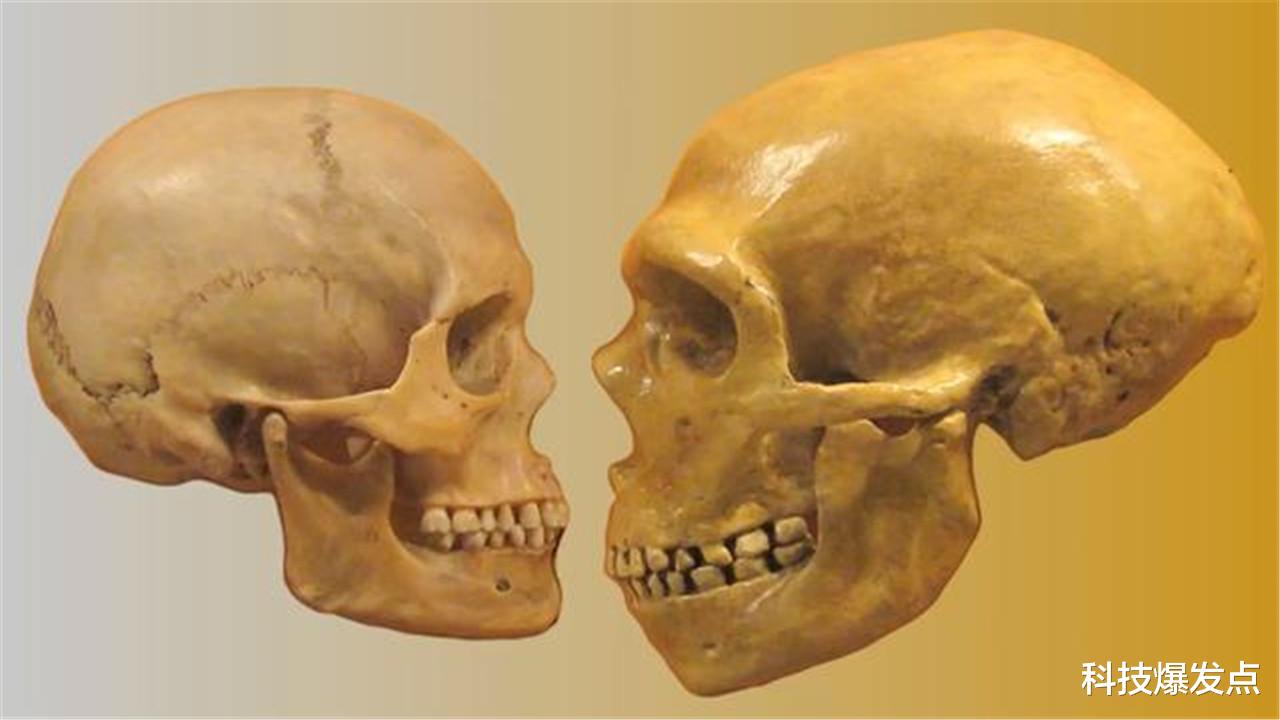 科学家|科学家用高科技还原古人样貌，4000年前的美女，三国的曹操！