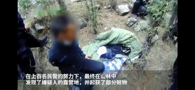 神鸟知讯资讯站|4男子打车来济南，每天睡山林为入室盗窃，被一锅端：现金不敢用