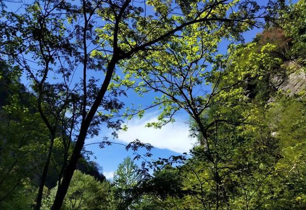 [陕西]陕西“天然空调城”，夏季凉快得无与伦比！县城海拔跟泰山顶一样