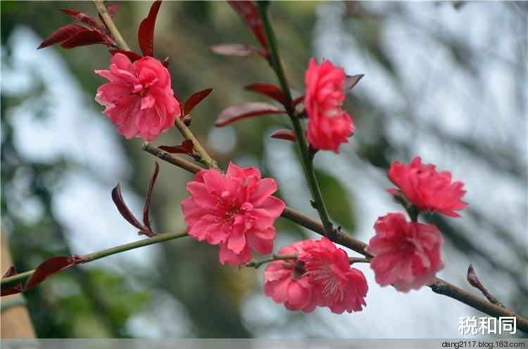 「生肖」6月20号喜神来报喜，喜事来赚钱多，人生也会更顺的3个生肖！