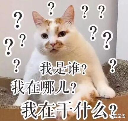 [心理学]“父母眼中的专业”VS“现实中的专业”，如此大的差距，有点扎心