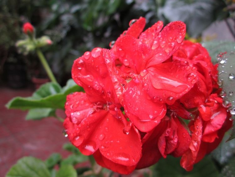 霉运|未来9天，新欢靠近，旧爱伤心，剪断牵挂，意外收获真爱的4大星座