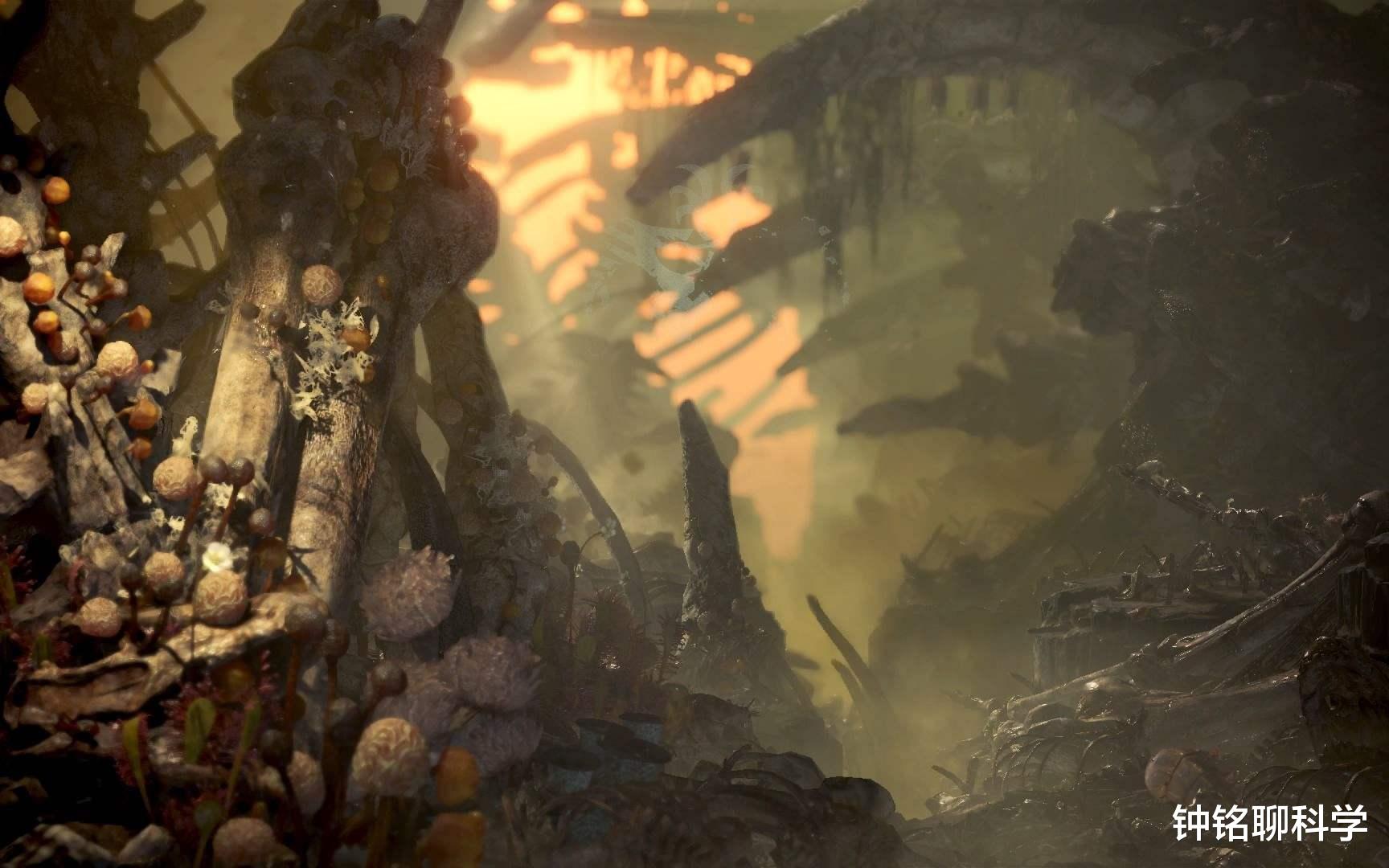 原始森林|原始森林中的“瘴气”，究竟是什么？