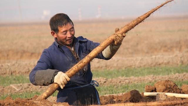 果然悠|你知道吗?新农合“改名”了,个人账户将被取消,农民福利更多了