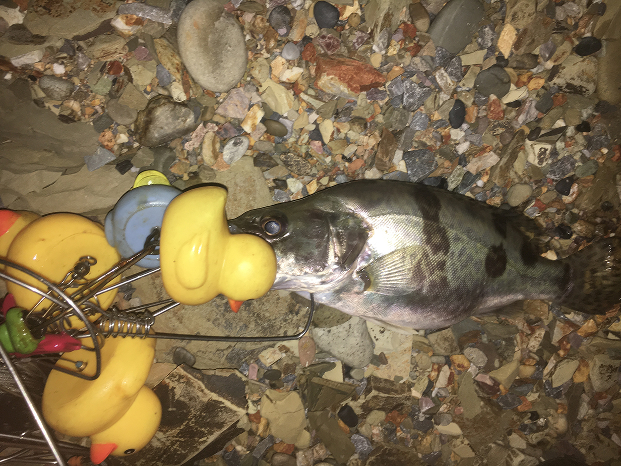 「」钓鱼浮漂的基本技能，你掌握了多少？调漂、找底一个都不简单