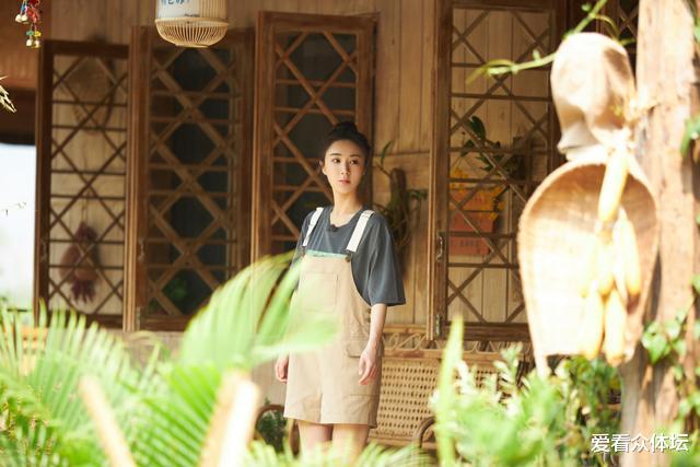 薇娅|《向往的生活》为什么选择薇娅、而不是李佳琦？节目组另有深意