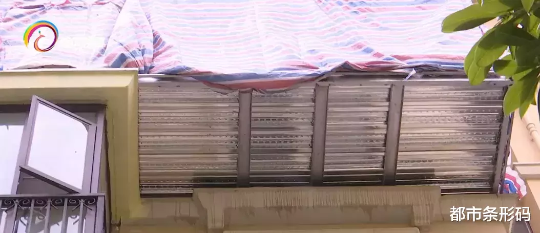 美国政府|抬头一看多了个阳台！楼下住户担心有安全隐患，还影响采光，城管调查后...